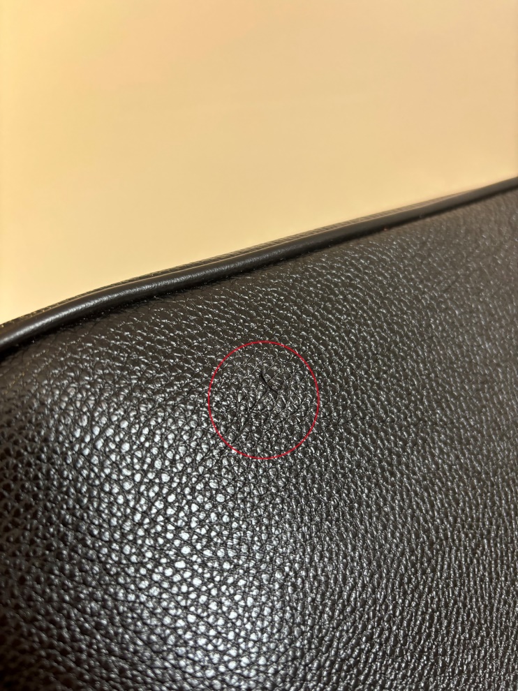Crossbody Louvre (7)